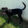 Gloria 5377 photo 1