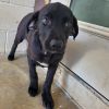 Gloria 5377 photo 2