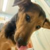 Jason 4292 photo 1