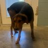 Jason 4292 photo 2