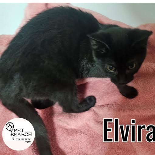 Elvira