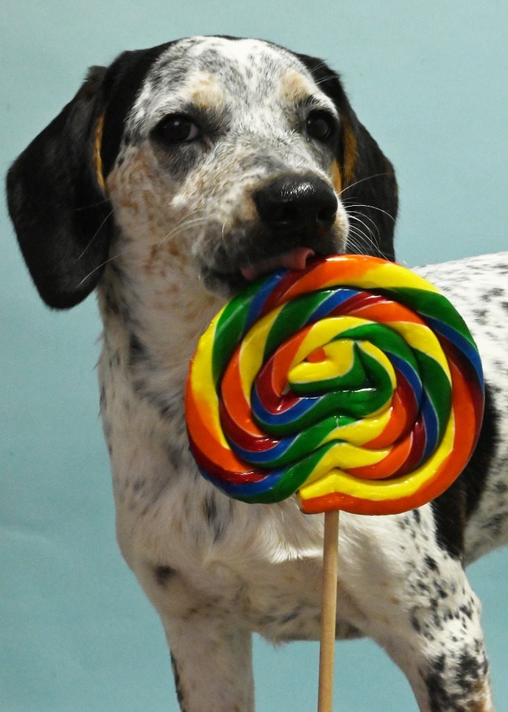 Dotty