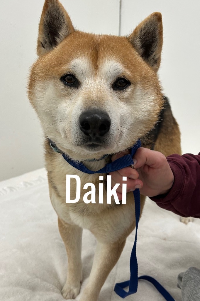 Daiki