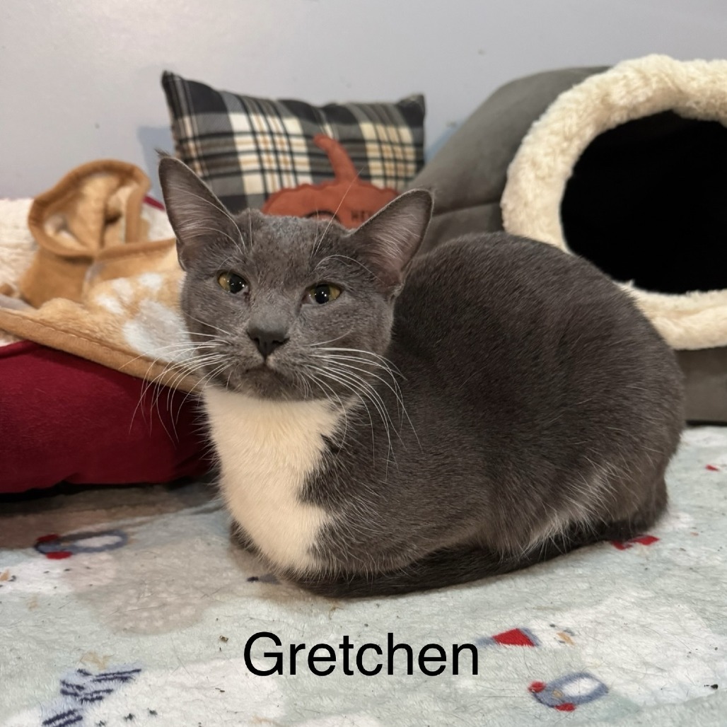 Gretchen