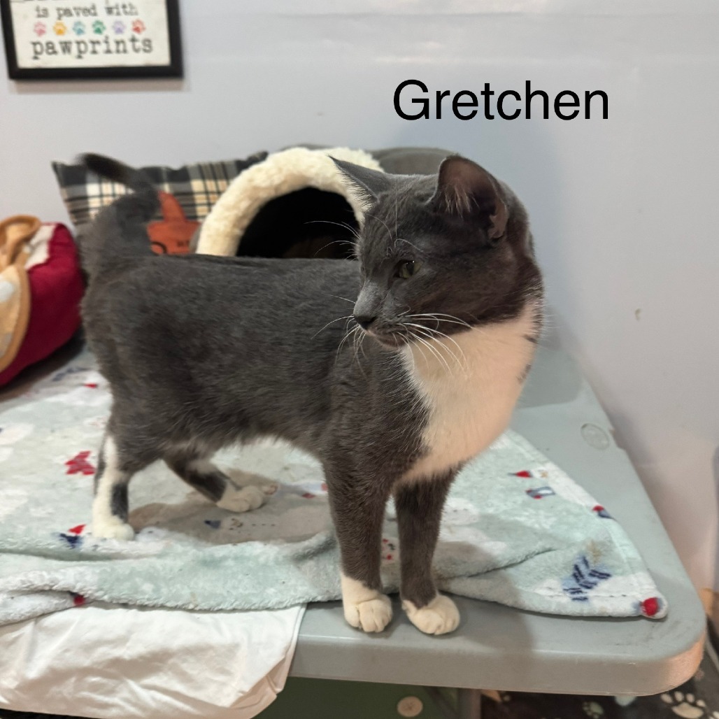 Gretchen