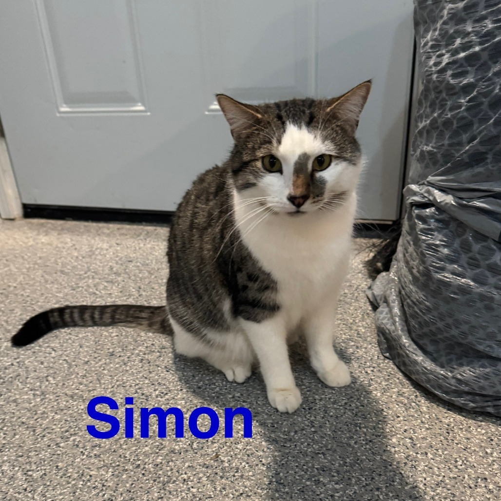 Simon