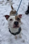 Chance Aka Jimmy Chew photo 4