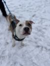 Chance Aka Jimmy Chew photo 5