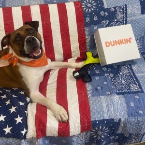 Dunkin