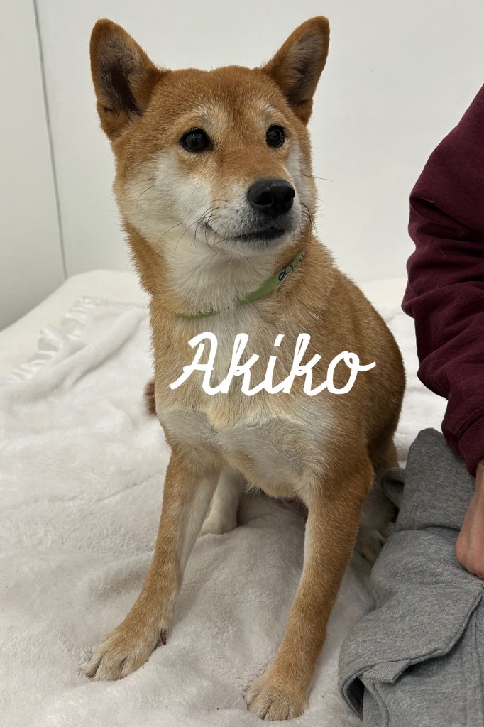 Akiko