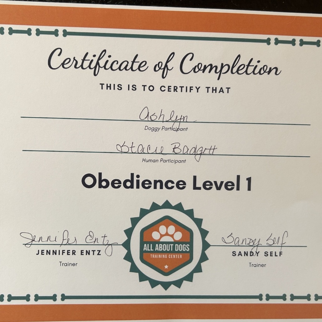 Ashlyn, an adoptable German Shepherd Dog in Grass Valley, CA, 95945 | Photo Image 2