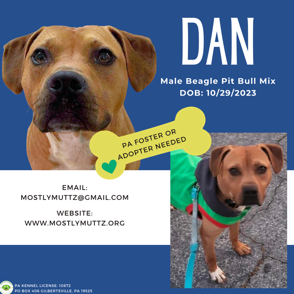 Dan