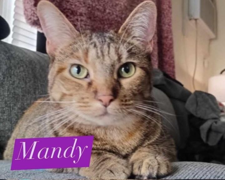 Mandy 2