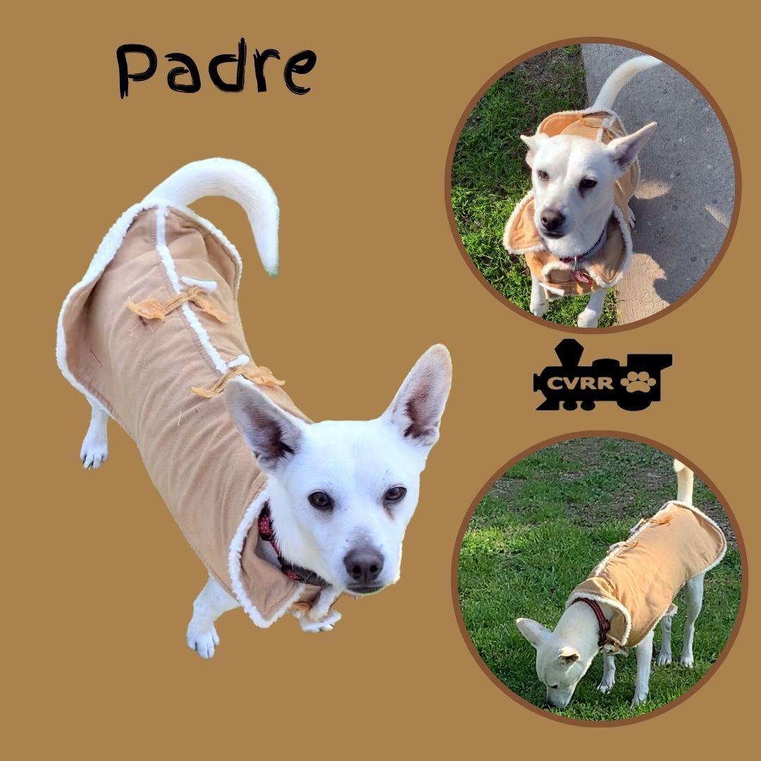 Padre