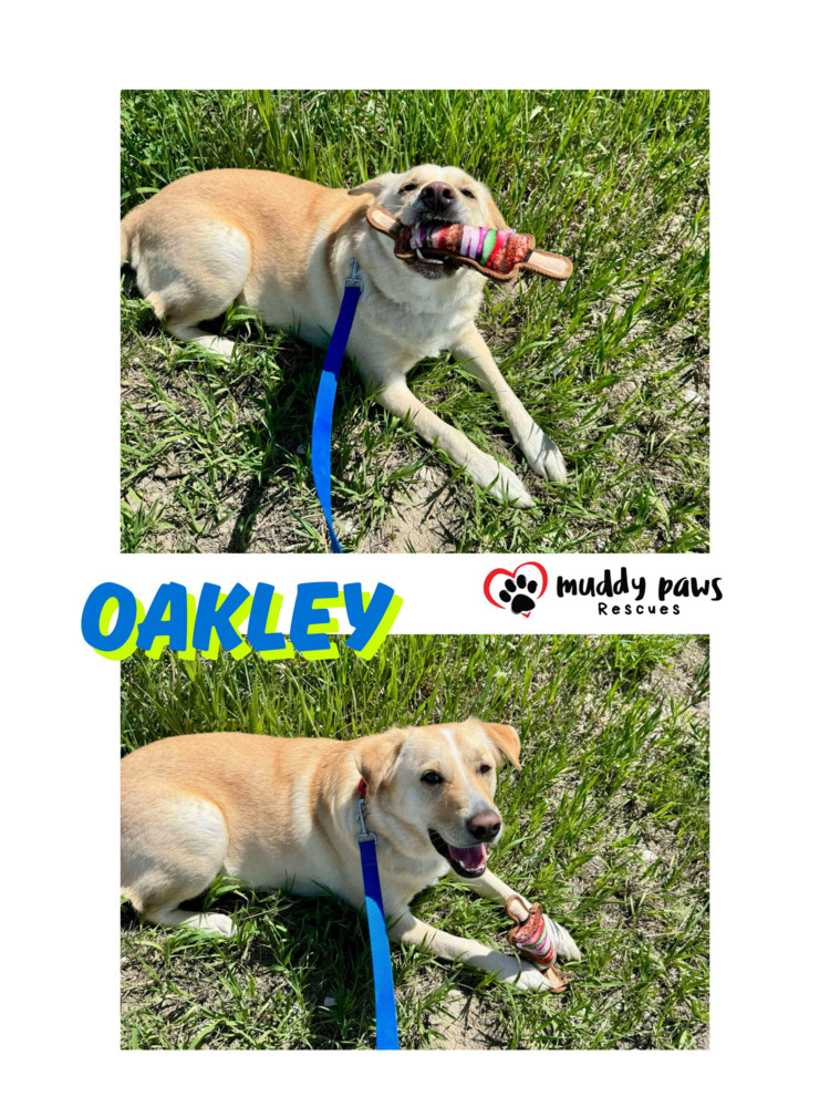 Andy Oakley aka Oakley