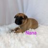 Nana