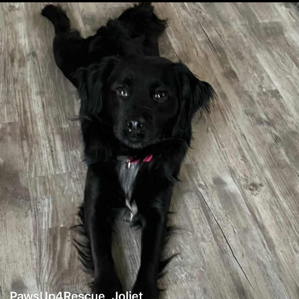 Max