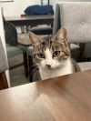 Millie photo 3