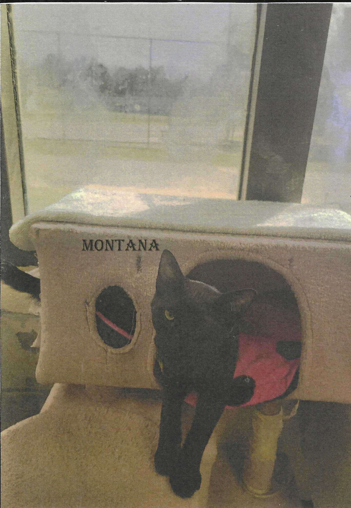 Montana