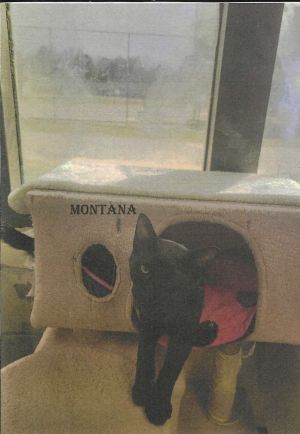 Montana, Young Female unknown