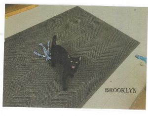 Brooklyn, Young Female unknown