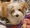 Betty photo 2