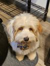 Betty photo 3