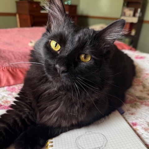 Samson