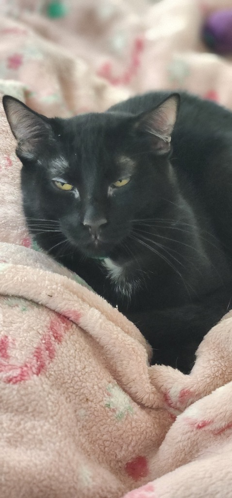 Luna
