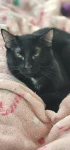 Luna photo 1