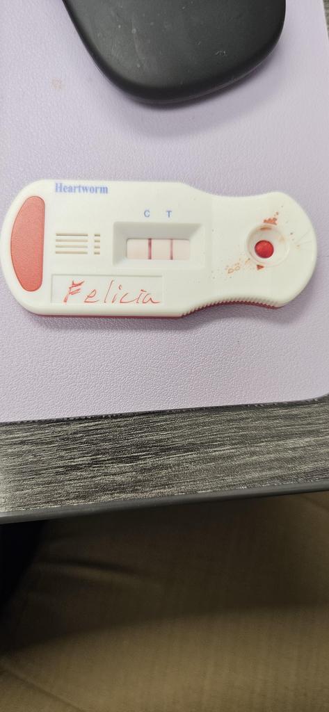 Felicia