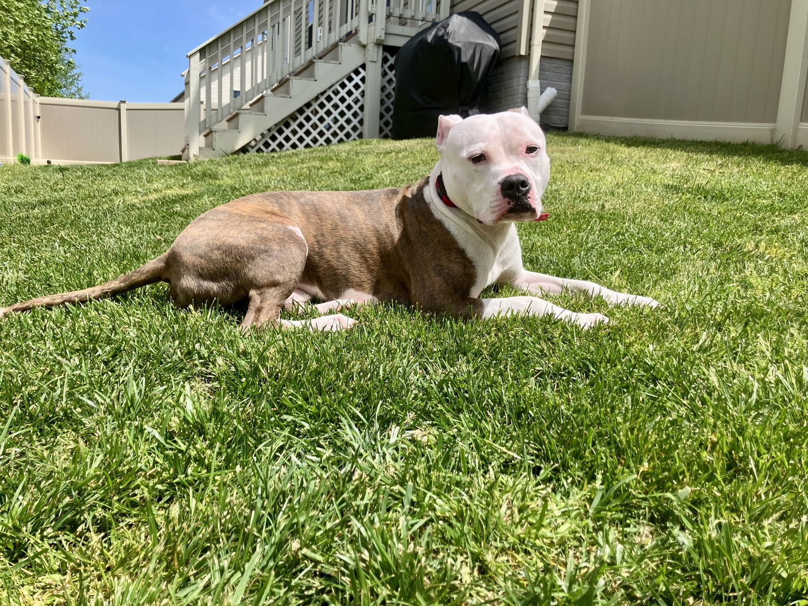 Axl