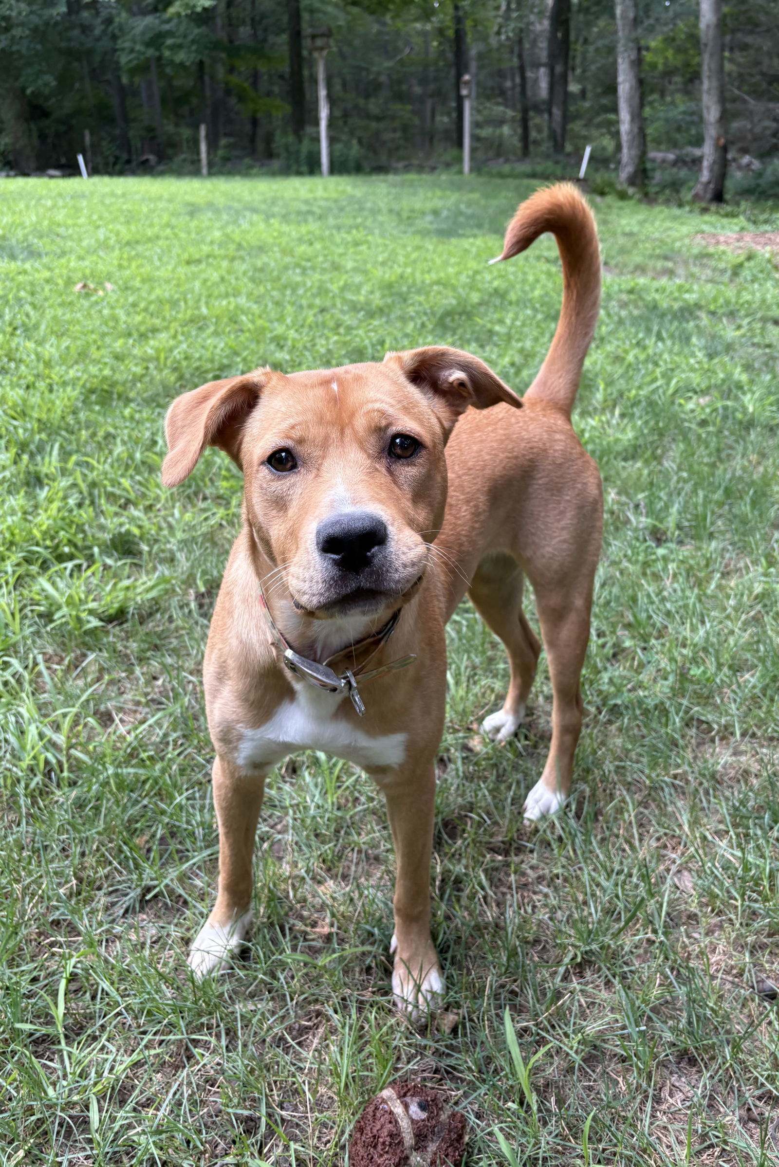 Lucy (formerly Kira)