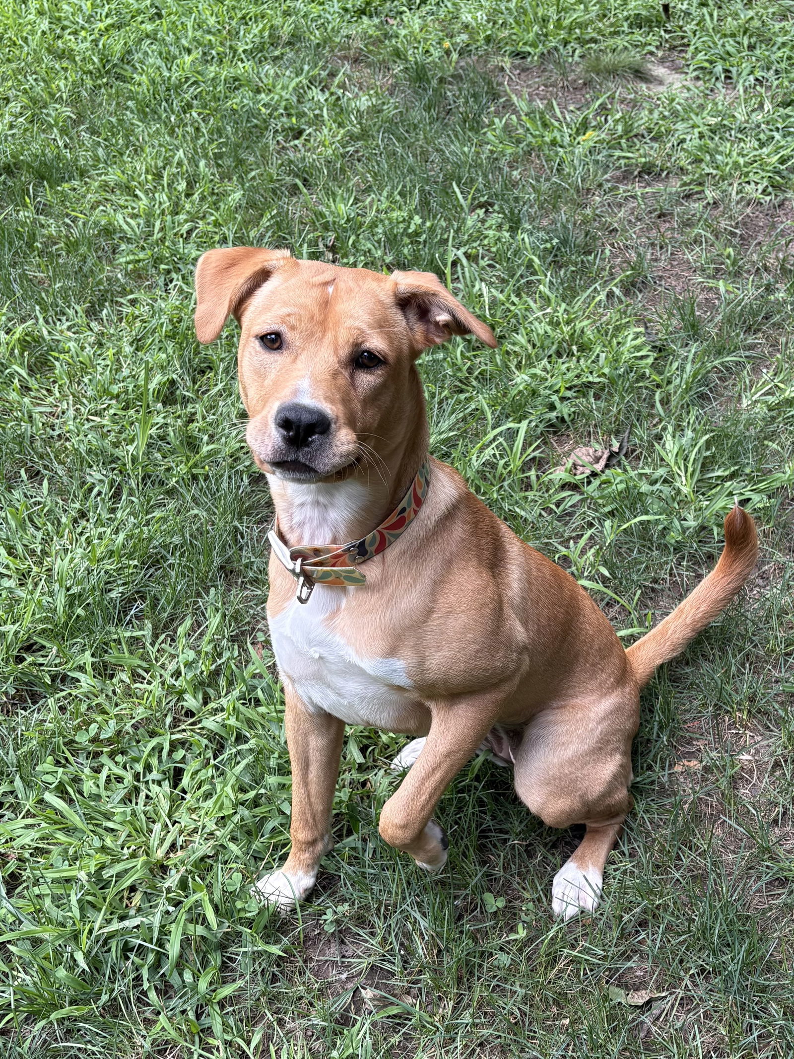 Lucy (formerly Kira)