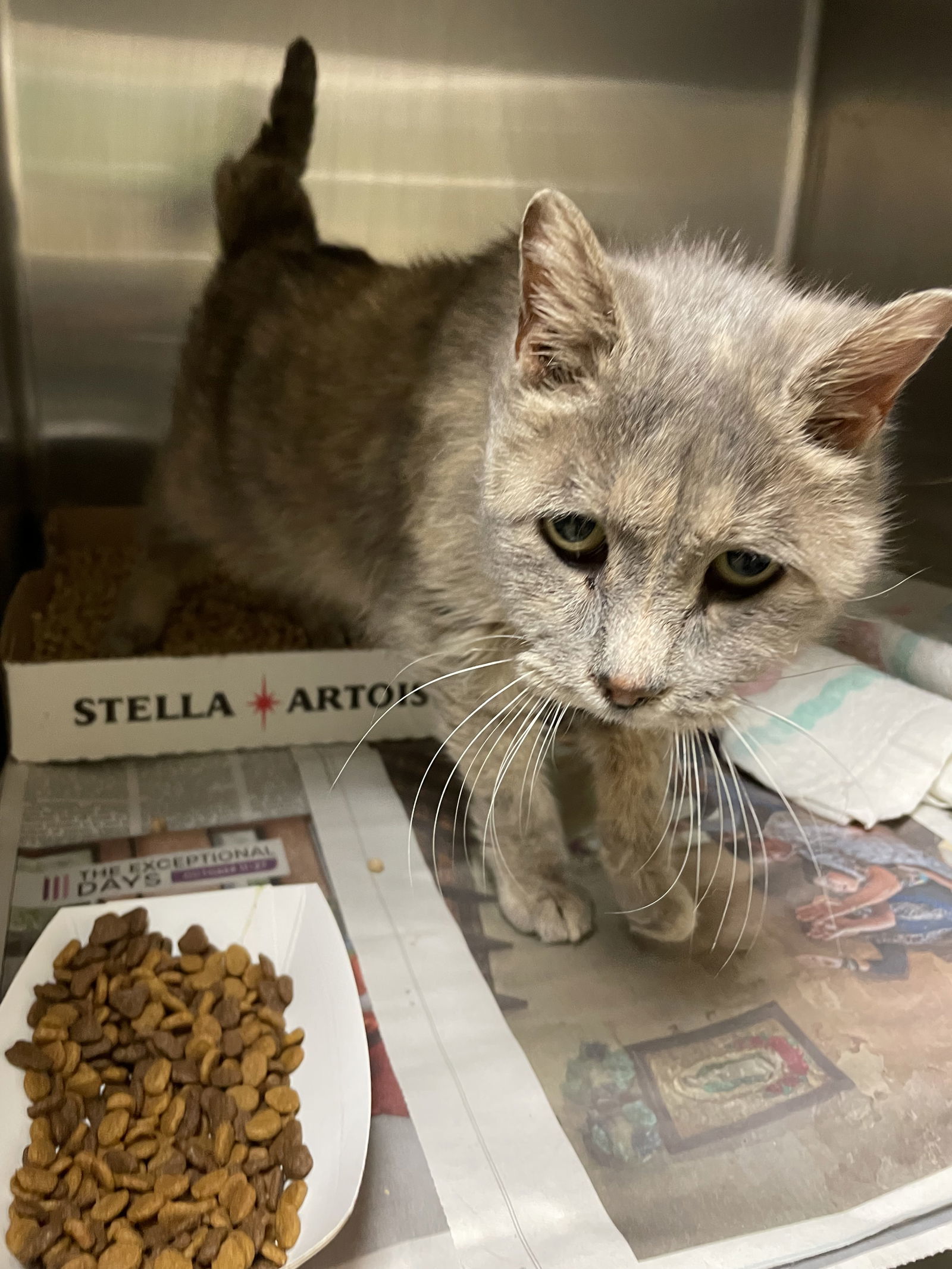 2501-0687 Secret (Off Site Foster)