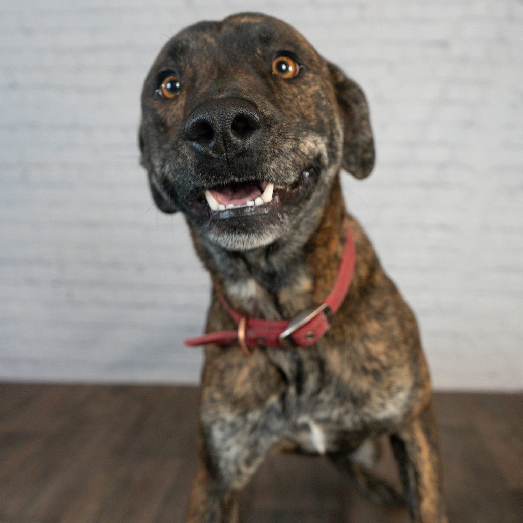 Frankie(fka Chewy)