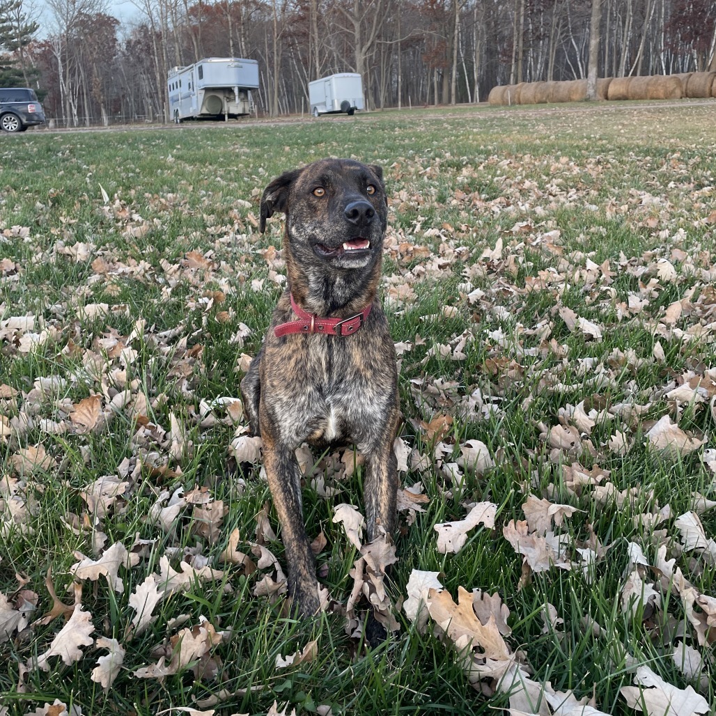 Frankie(fka Chewy)