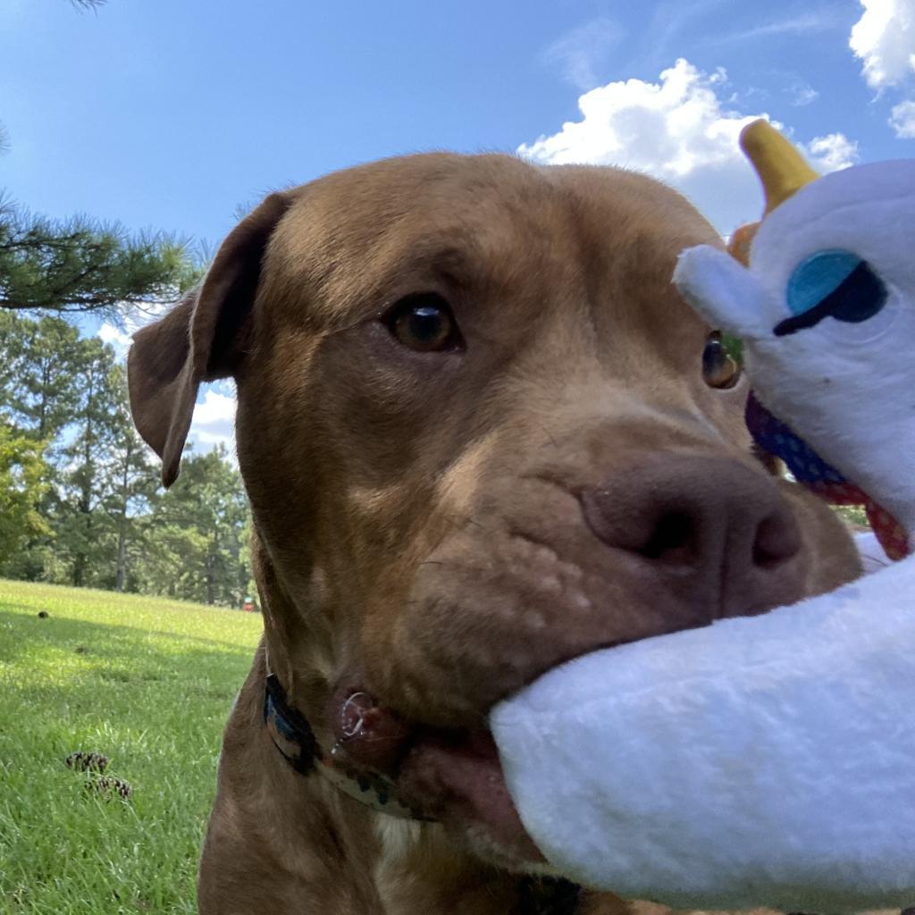 Winston