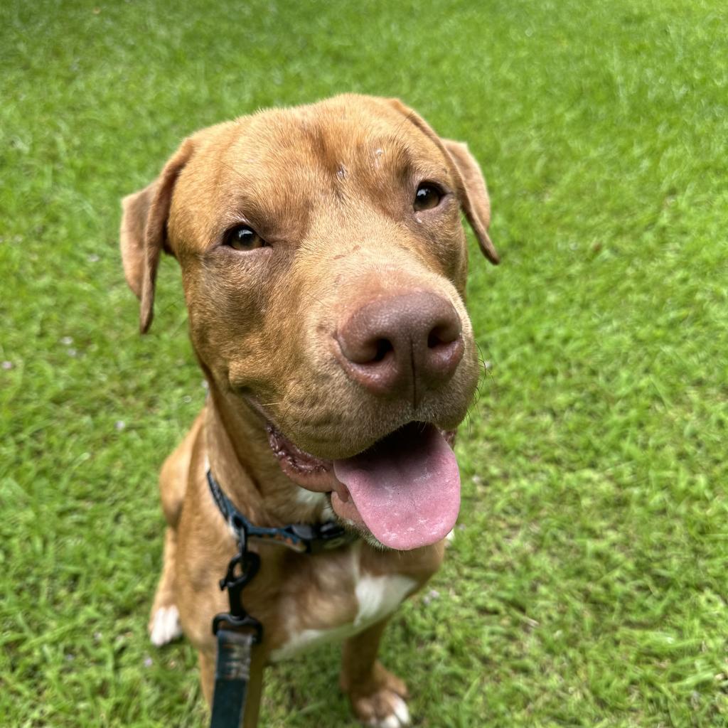 Winston