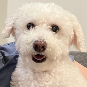 Sunny #502, Senior Male unknown