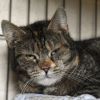 Jenny photo 1