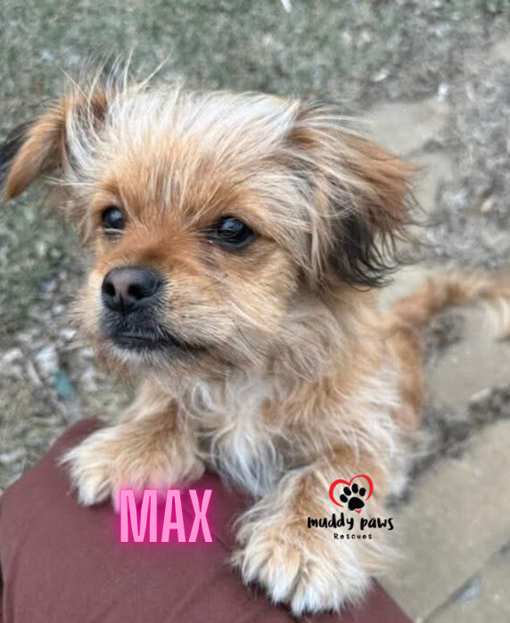 Max