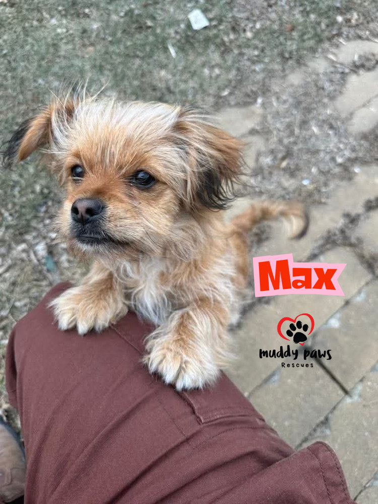 Max