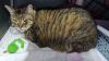 Albert photo 2