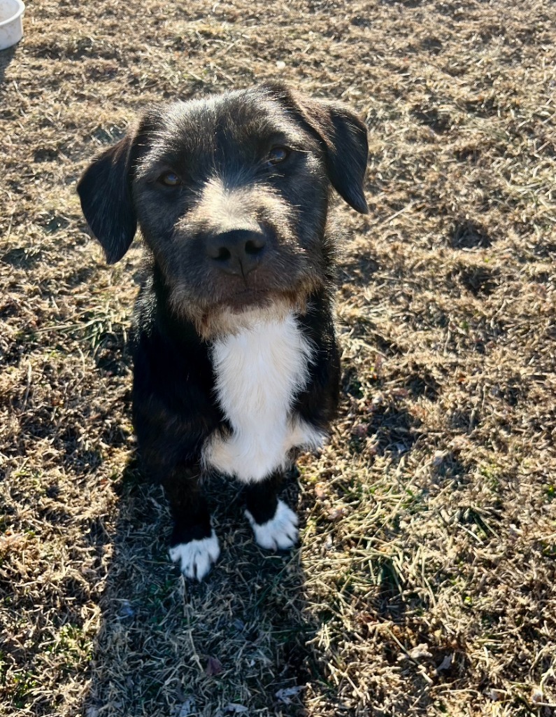 Finley