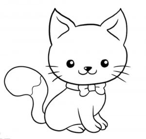 unknown, Adult Female Domestic Short Hair