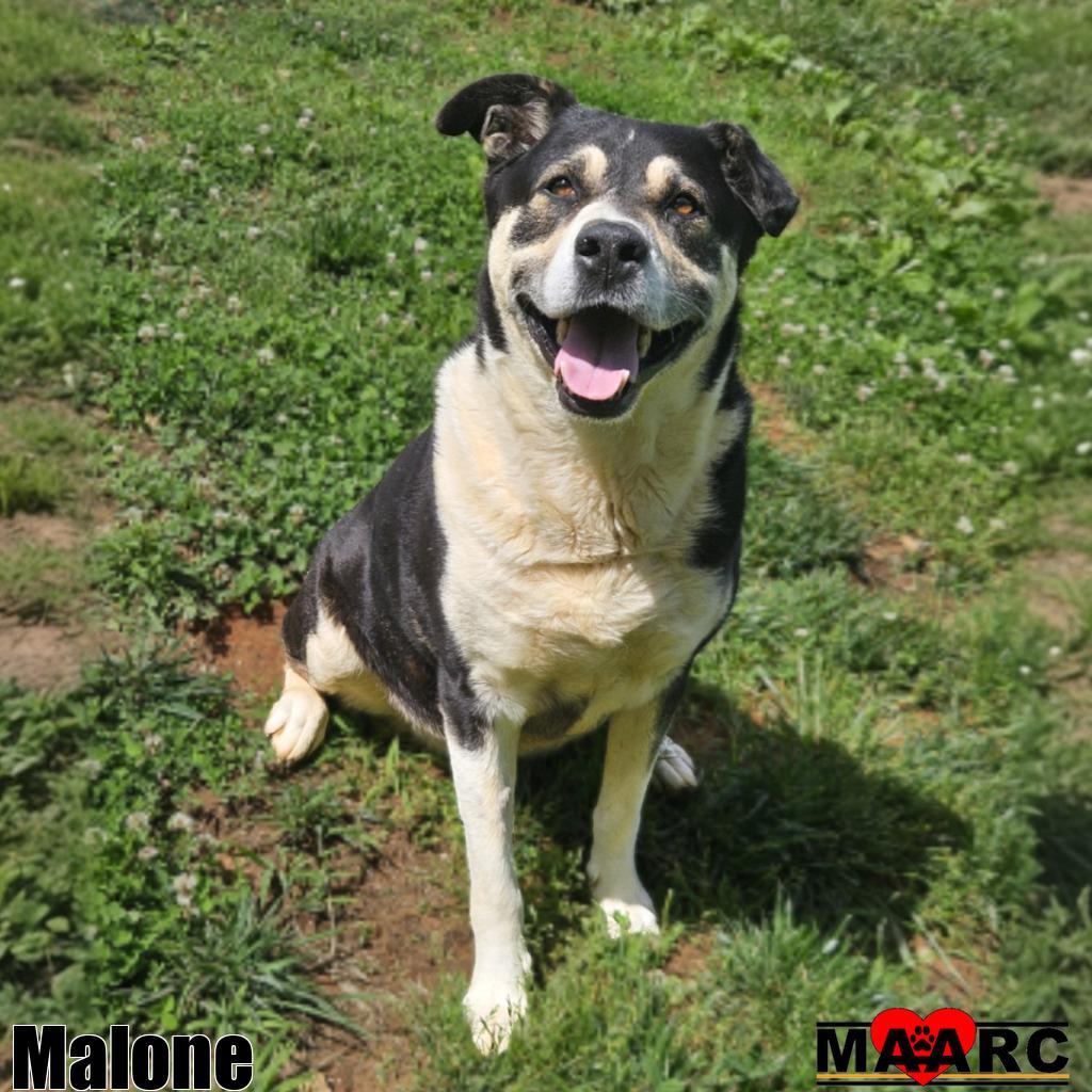Malone