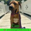 Cam photo 3