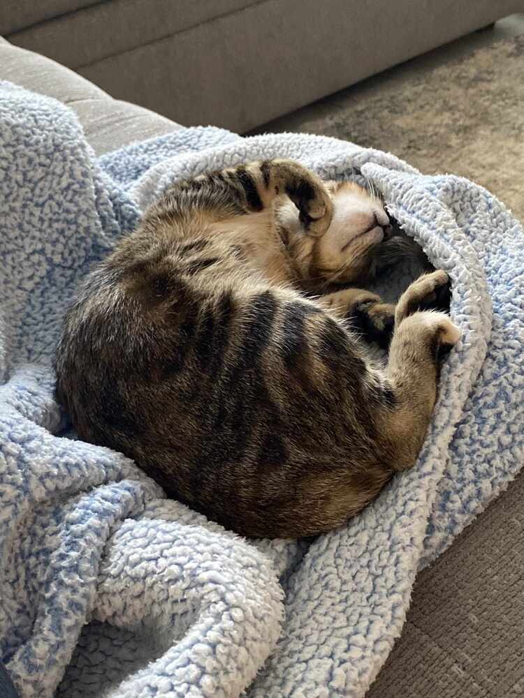 Tito