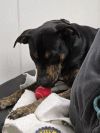 Mason photo 5